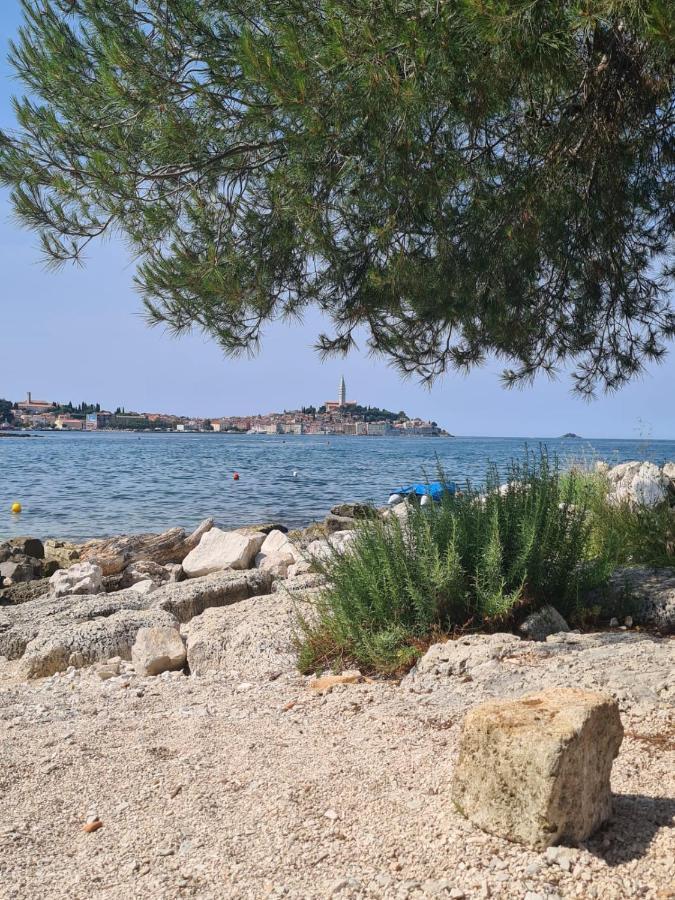 Hemy Casa - Lux Mobile Homes Rovinj Dış mekan fotoğraf